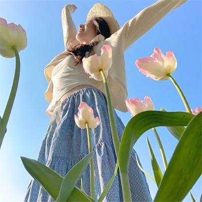 藏獒多吉